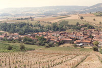 The village of Boudes and the vineyard