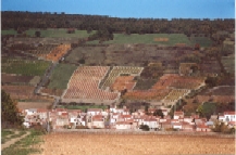 The village of Boudes and the vines of "Derrière les Horts"